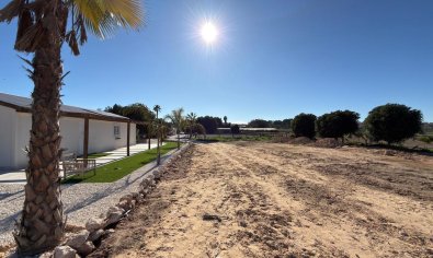 Resale - Land -
Algorfa