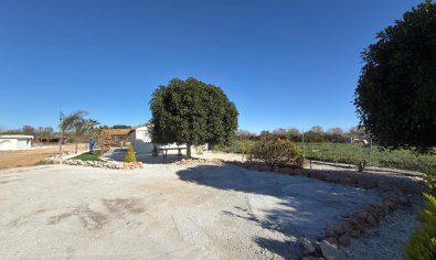 Resale - Land -
Algorfa