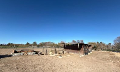 Resale - Land -
Algorfa