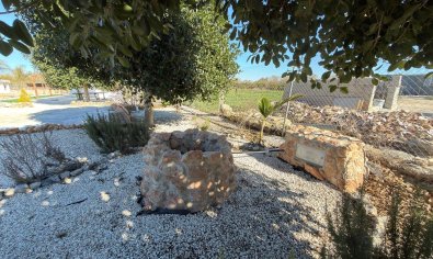 Resale - Land -
Algorfa