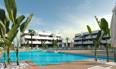 New Build - Penthouse -
Guardamar del Segura - Guardamar Del Segura