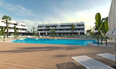 Obra nueva - Apartamento / piso -
Guardamar del Segura - Guardamar Del Segura