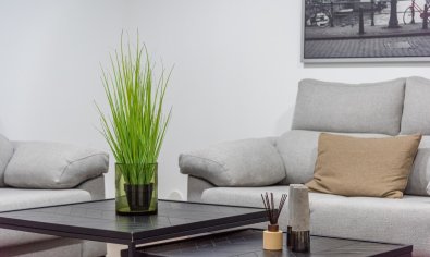 Bestaande bouw - Villa -
Cabo Roig