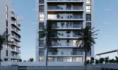 Nieuwbouw Woningen - Penthouse -
Guardamar del Segura - Guardamar Del Segura