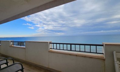 Resale - Apartment -
Mil Palmeras