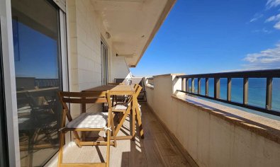 Resale - Apartment -
Mil Palmeras