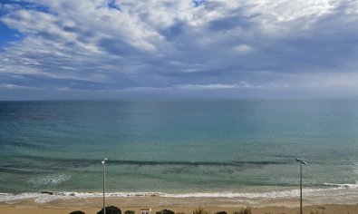 Resale - Apartment -
Mil Palmeras