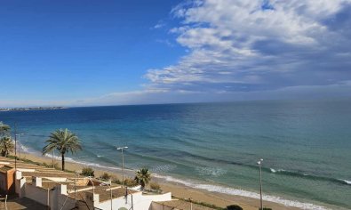 Resale - Apartment -
Mil Palmeras