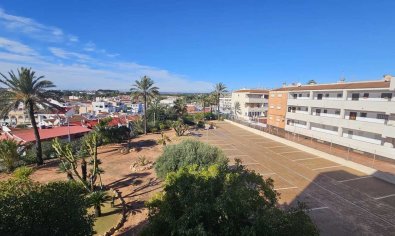 Resale - Apartment -
Mil Palmeras