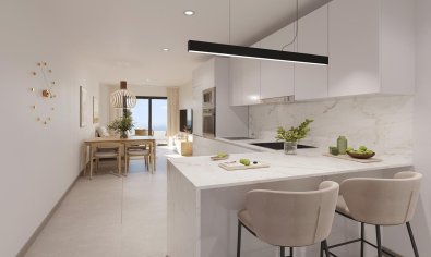 Obra nueva - Ático -
Torrevieja