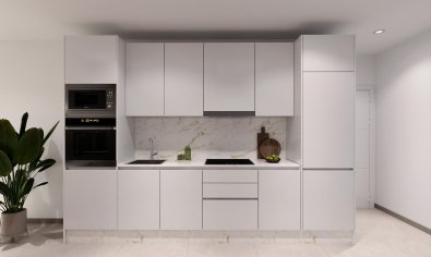 Obra nueva - Ático -
Torrevieja