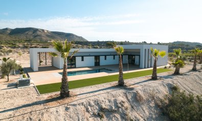 New Build - Villa -
Pinoso