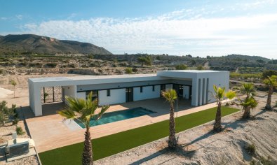 New Build - Villa -
Pinoso