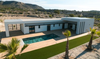 New Build - Villa -
Pinoso