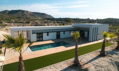 New Build - Villa -
Pinoso