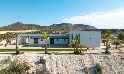 New Build - Villa -
Pinoso
