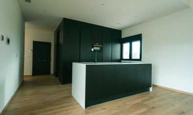 New Build - Villa -
Pinoso