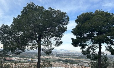 Resale - Apartment -
Ciudad Quesada