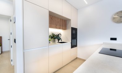 Obra nueva - Villa -
San Pedro del Pinatar - San Pedro Del Pinatar