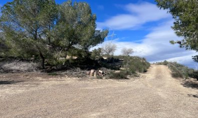 Charming finca with a private pool and 6,000 m² of land in Torremendo, Alicante