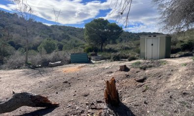 Charmante finca met privézwembad en 6.000 m² grond in Torremendo, Alicante