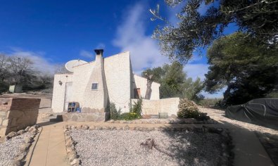 Charmante finca met privézwembad en 6.000 m² grond in Torremendo, Alicante
