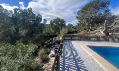 Charmante finca met privézwembad en 6.000 m² grond in Torremendo, Alicante