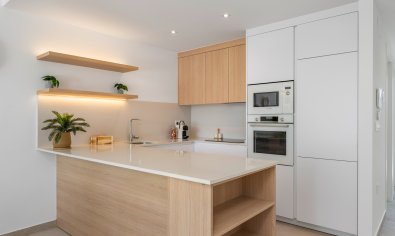 Obra nueva - Villa -
Los Alcazares - Los Alcázares