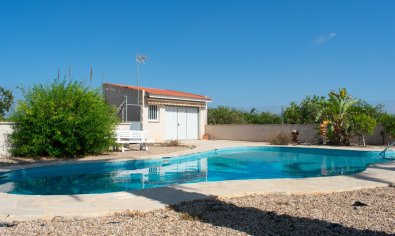 Resale - Villa -
Guardamar del Segura - El Raso