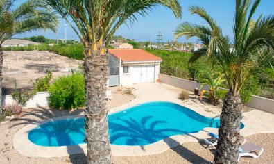 Resale - Villa -
Guardamar del Segura - El Raso