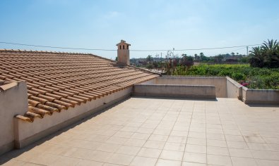 Reventa - Villa -
Guardamar del Segura - El Raso