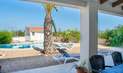 Resale - Villa -
Guardamar del Segura - El Raso