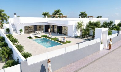 Obra nueva - Villa -
Algorfa