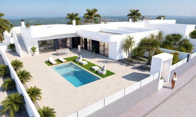 Obra nueva - Villa -
Algorfa