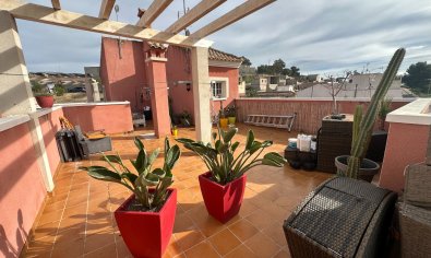 Bestaande bouw - Herenhuis -
Bigastro