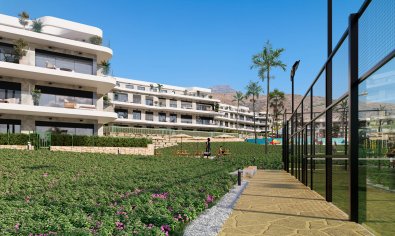 Obra nueva - Piso - Planta baja -
Finestrat