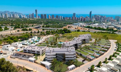 Obra nueva - Piso - Planta baja -
Finestrat