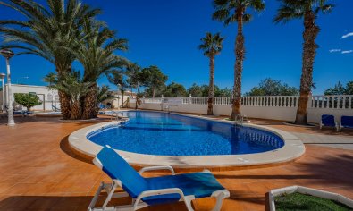 Reventa - Apartamento / piso -
Guardamar del Segura