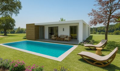 Obra nueva - Villa -
Monforte del Cid