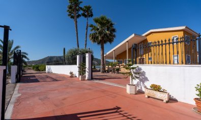 Reventa - Finca -
Orihuela