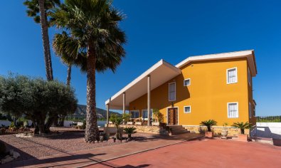 Reventa - Finca -
Orihuela