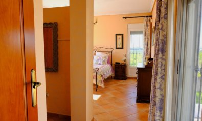 Reventa - Finca -
Orihuela