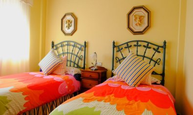 Reventa - Finca -
Orihuela