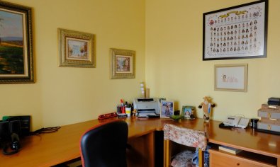 Reventa - Finca -
Orihuela