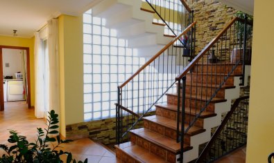 Reventa - Finca -
Orihuela