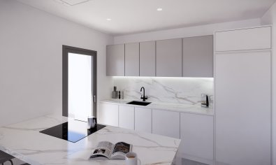 Obra nueva - Villa -
Benijofar