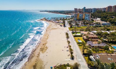 Resale - Villa -
Dehesa De Campoamor