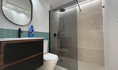 Bestaande bouw - Appartement -
Pilar de la Horadada