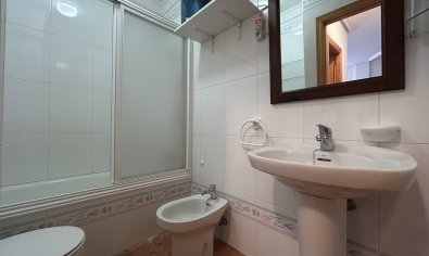 Bestaande bouw - Herenhuis -
Torre de la Horadada