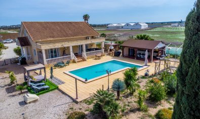 Resale - Finca -
Crevillente